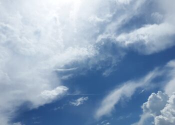 Call for collaborative or exploratory projects 2021